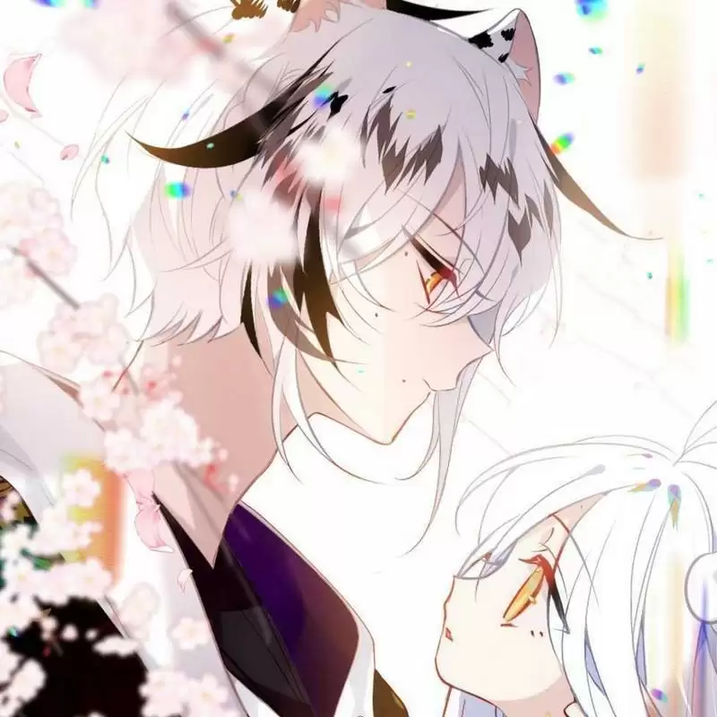 凤凰光遇辅助器