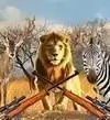 非洲丛林狩猎 正版