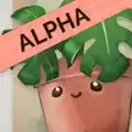 室内植物