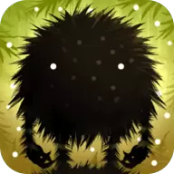 费斯特