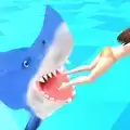 鲨鱼竞赛