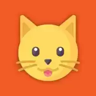 给猫玩的