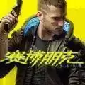 赛博朋克20773DM