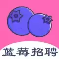 蓝莓招聘