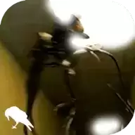 暗房后室The Backrooms