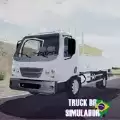 Br卡车模拟器