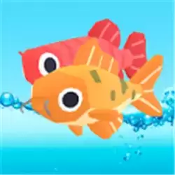 渔网派对Fishnet Party