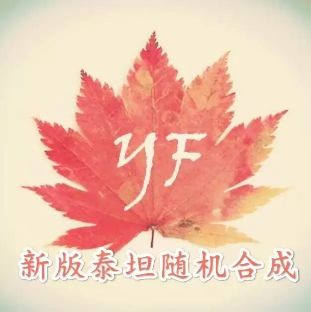 我的世界叶枫新