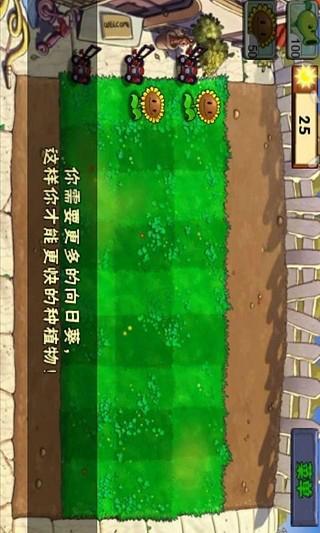 植物大战僵尸 北美版