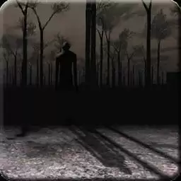 生化求生恐怖游戏