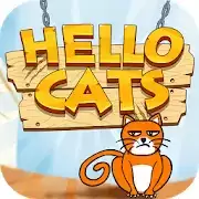 你好小猫