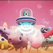 如果你能抓到它们