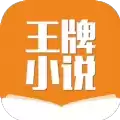 王牌小说