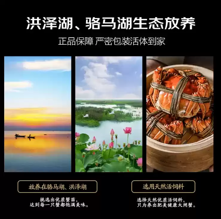 秋天的第一只“霸王蟹”,《乱世王者》请了!