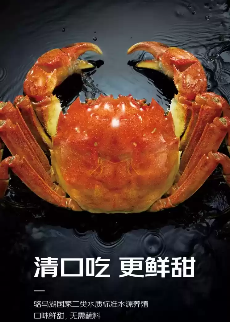 秋天的第一只“霸王蟹”,《乱世王者》请了!