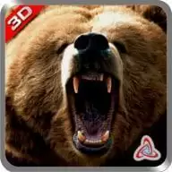 熊丛林攻击Bear