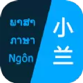 小兰翻译