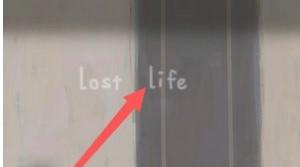 《lost  life》小女孩隐藏姿势解锁攻略
