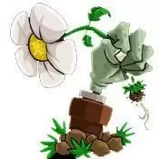 植物大战僵尸95