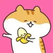 动物娃娃店동물 인형샵