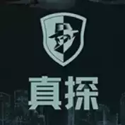 真探