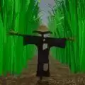 躲猫猫派对