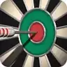 专业飞镖2022Pro Darts 2022
