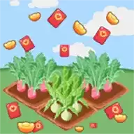 大头菜农场喜得红包