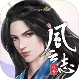 代号风云志版
