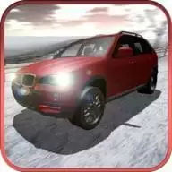 雪地拉力锦标赛Snow Rally Champion