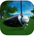 完美挥杆-高尔夫