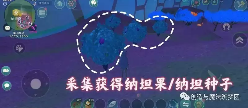 《创造与魔法》S15赛季第一周花园任务攻略