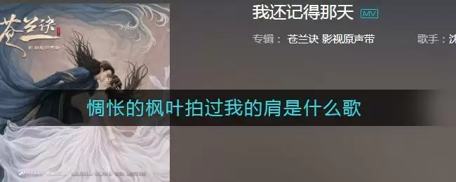 惆怅的枫叶拍过我的肩是什么歌