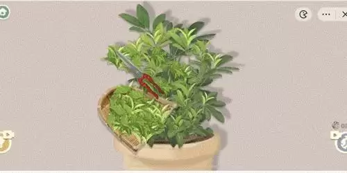 收纳物语东方茶叶怎么过1