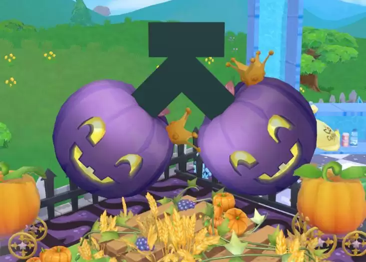 惊奇家装大赏,《摩尔庄园》现飞天扫帚!