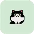 猫咪幸存者
