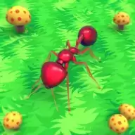 蚂蚁的生活