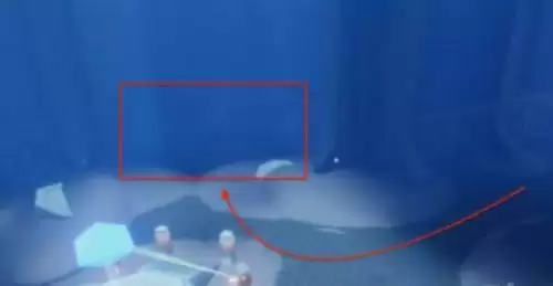 光遇11月8日每日任务攻略流程 光遇11.8每日任务怎么过