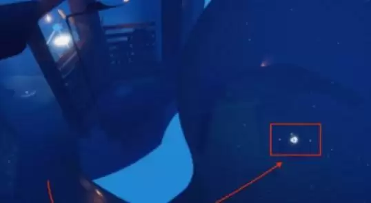 《光遇》11月8日每日任务完成攻略