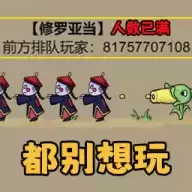 不能玩的游戏