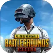 pubg天白
