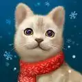 我的猫猫生活
