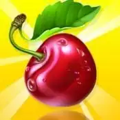 甜蜜水果炸弹Sweet Fruit Bomb