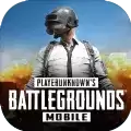 绝地求生pubg国际服直装安装 v2.2.0运营中