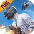 pubg刺激战场(国际服)