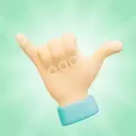 手势大师