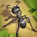 蚂蚁回家
