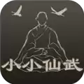 小小仙武