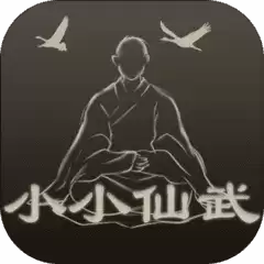 小小仙武