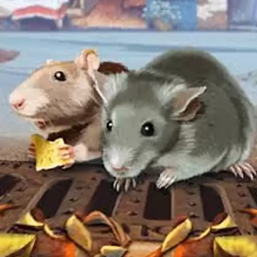 老鼠生存模拟器